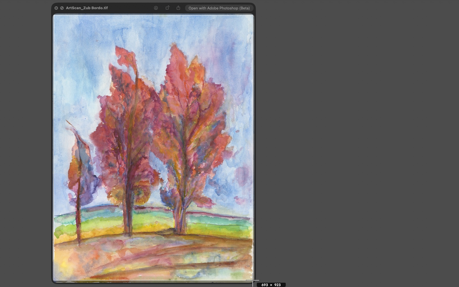 iVi capture overlay: the screen dims and a crosshair selects a watercolor painting, with live pixel dimensions shown