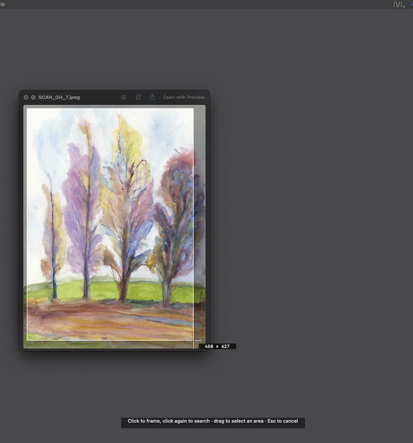 iVi capture overlay: the screen dims and a white frame outlines a watercolor of trees in a preview window, with the selection size in pixels and a hint to click again to search