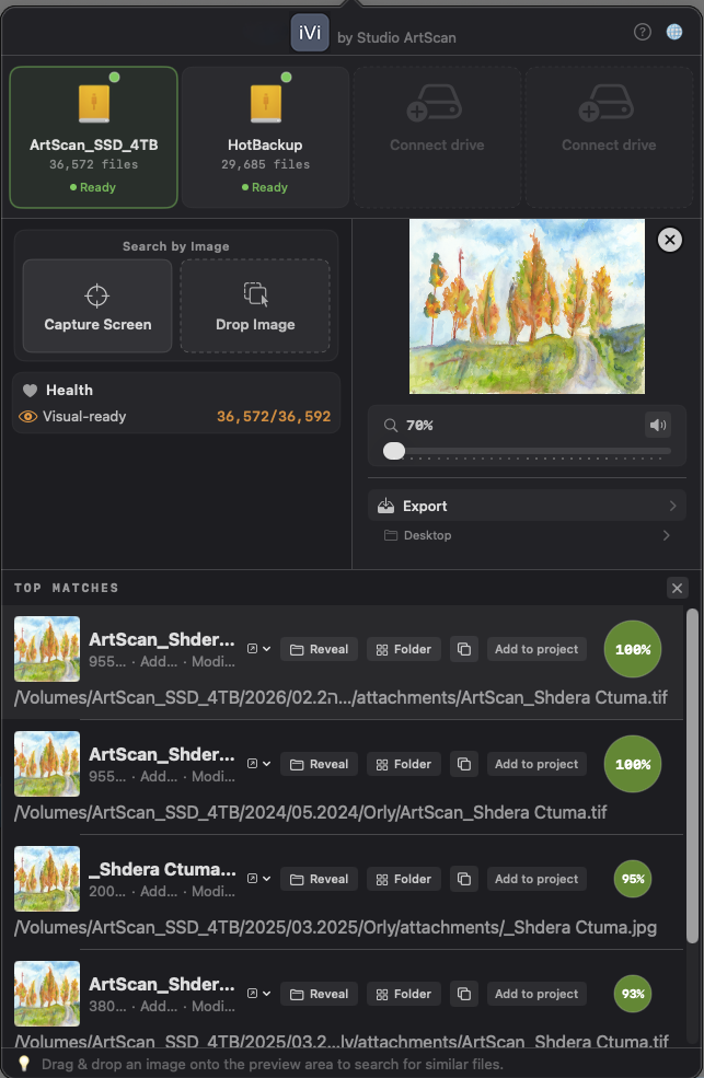 iVi main panel: two connected drives ready, a watercolor query image, and Top Matches results with match percentages
